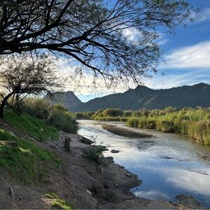 Meet your Posher, Cora